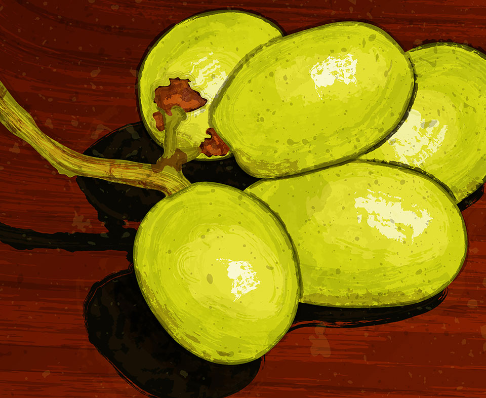 Main Label Illustration, expanded for detail